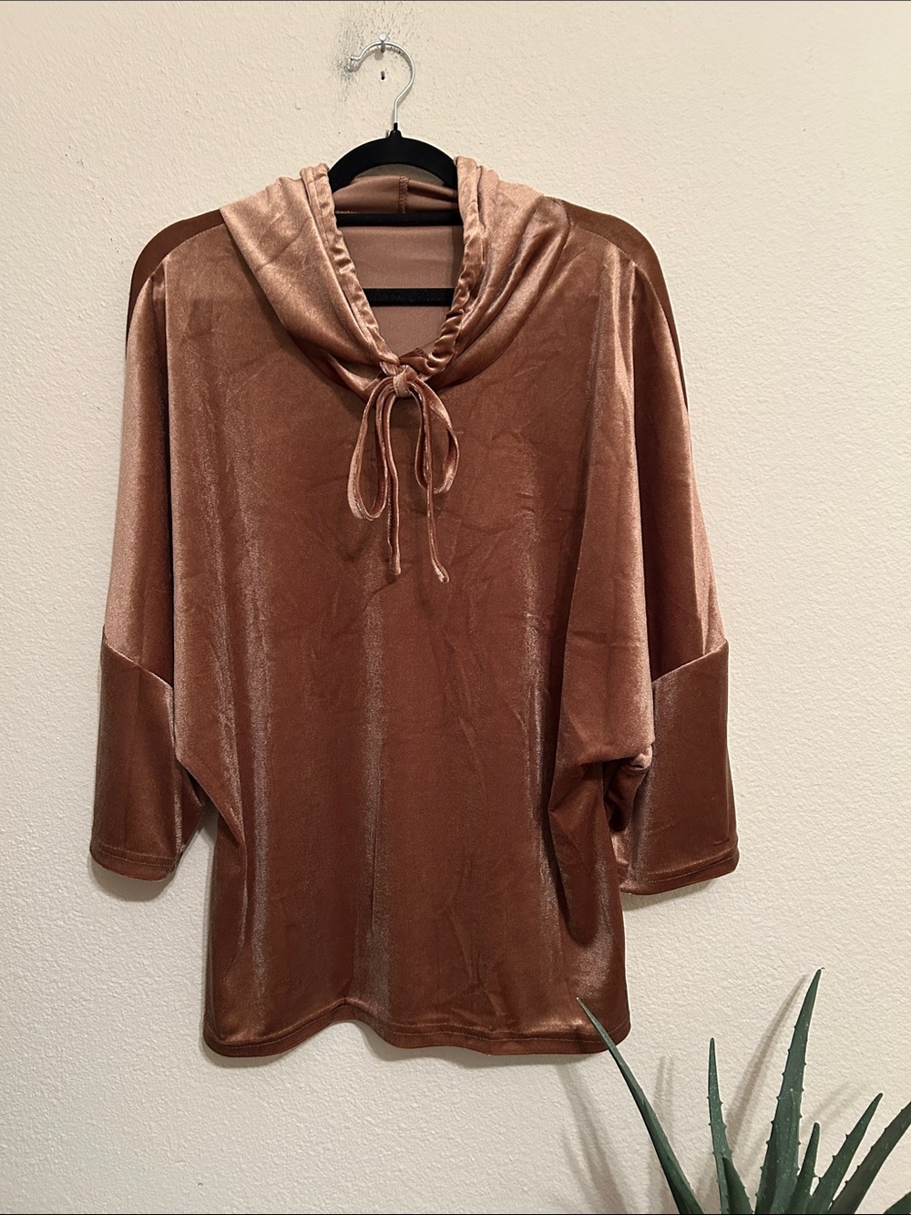 Velour Drawstring Hoodie Top in Copper
